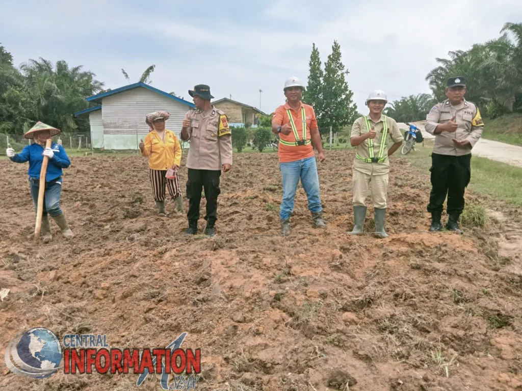 Kegiatan Penanaman Jagung sebagai Bentuk Dukungan Ketahanan Pangan oleh Bhabinkamtibmas dan PT. AIP